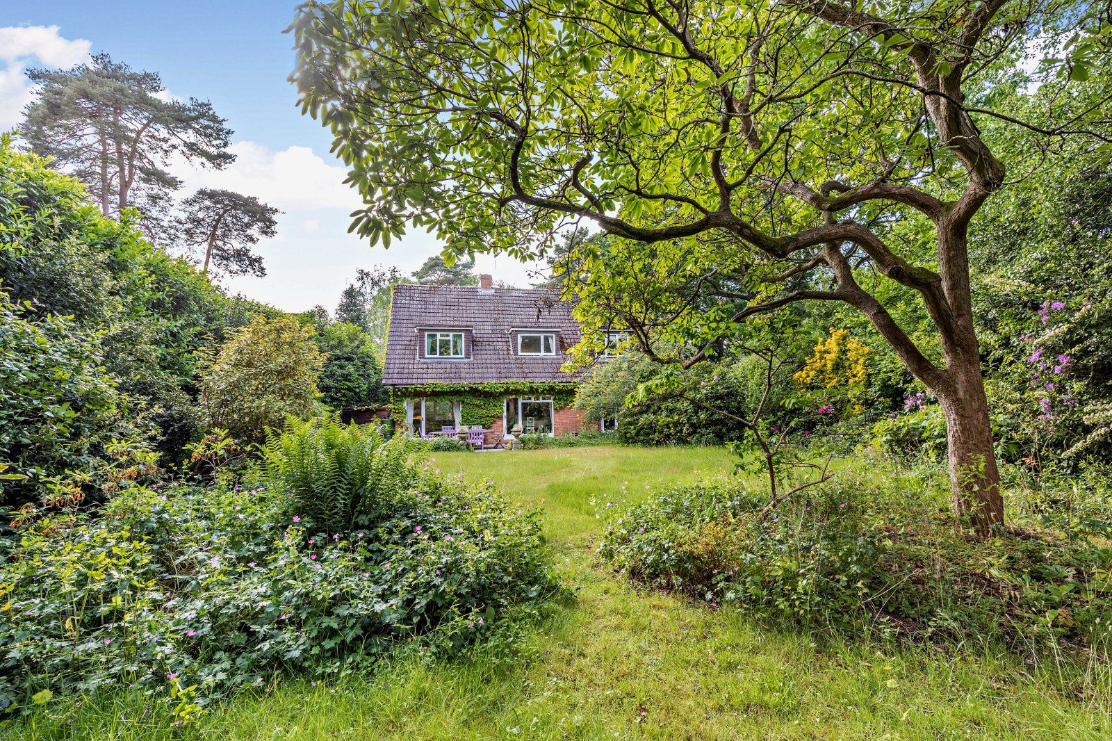 Rear Gardens