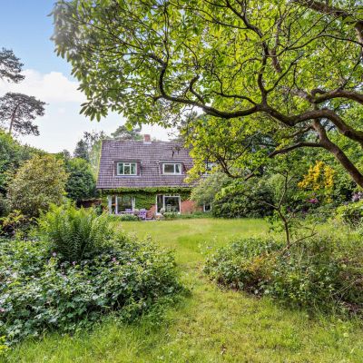 Rear Gardens