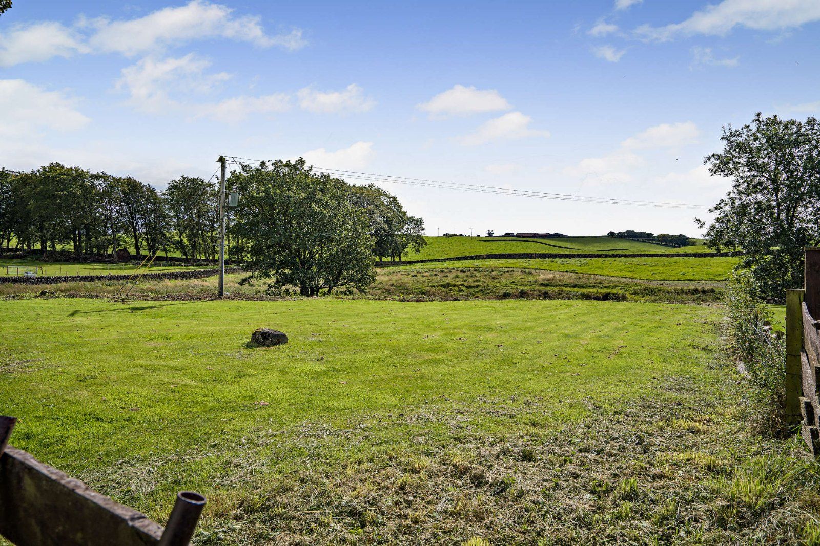 View From Garden