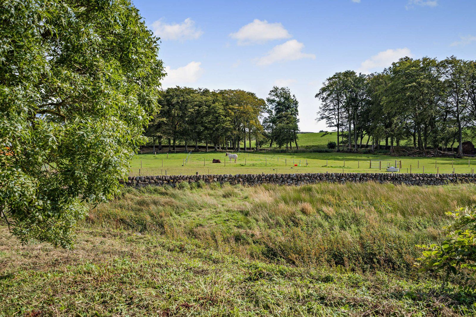 View From Garden