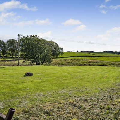View From Garden