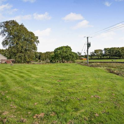 Meadow/Paddock