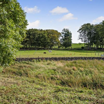 View From Garden