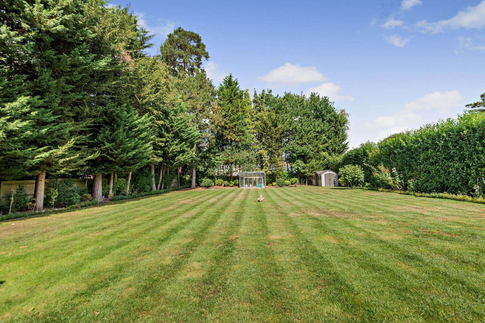 Extensive Garden
