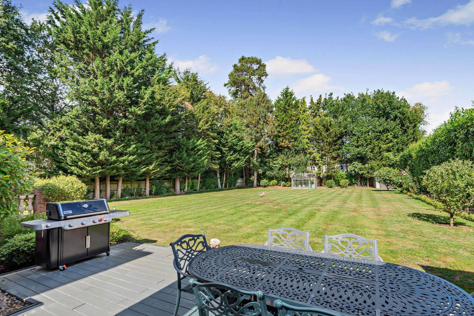 Terrace and Garden