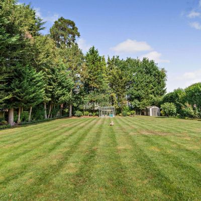 Extensive Garden