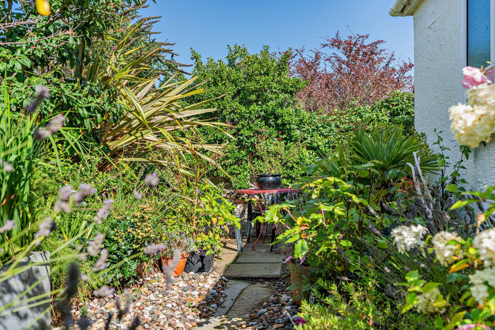 Courtyard Garden