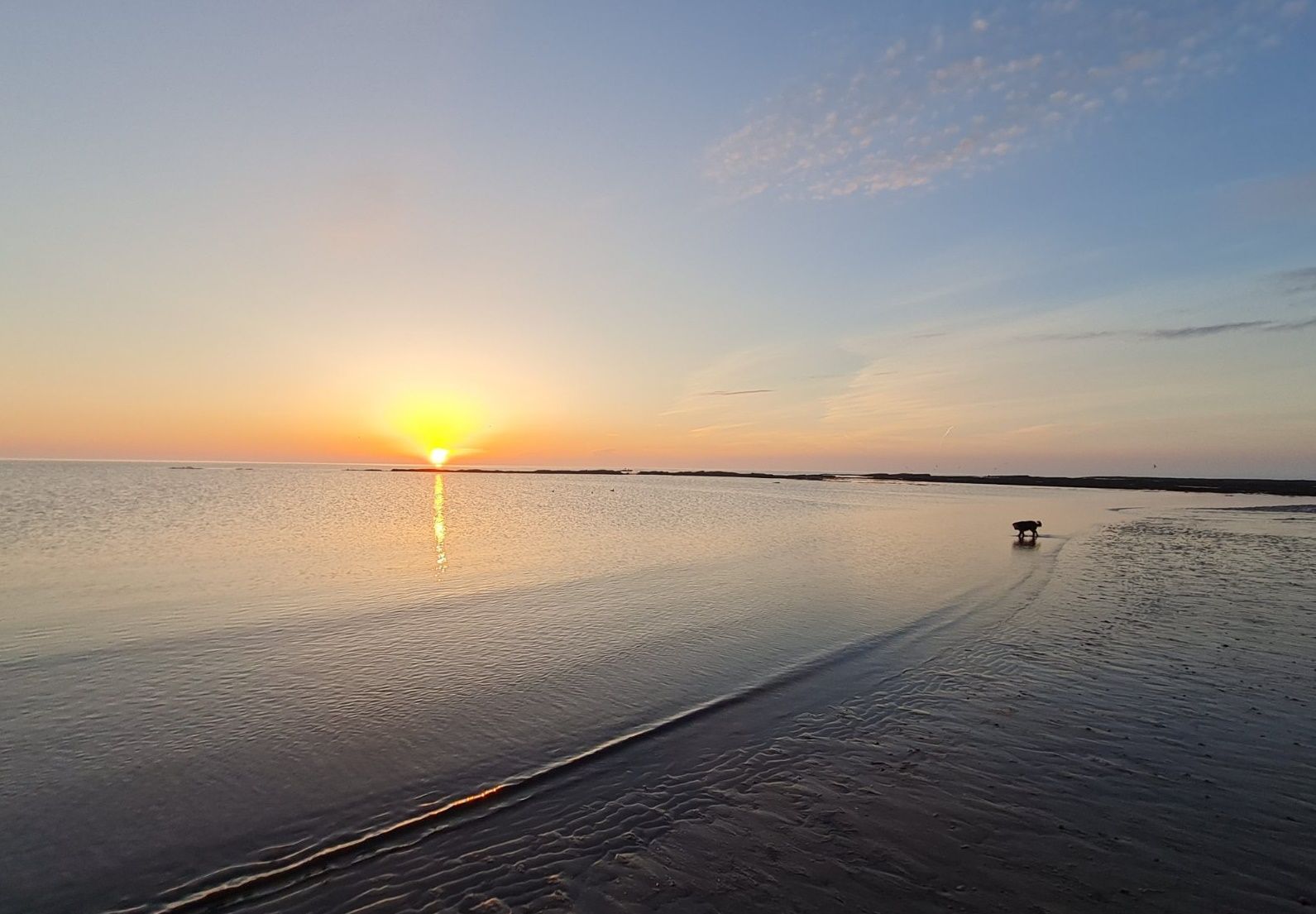 Low Hauxley Beach