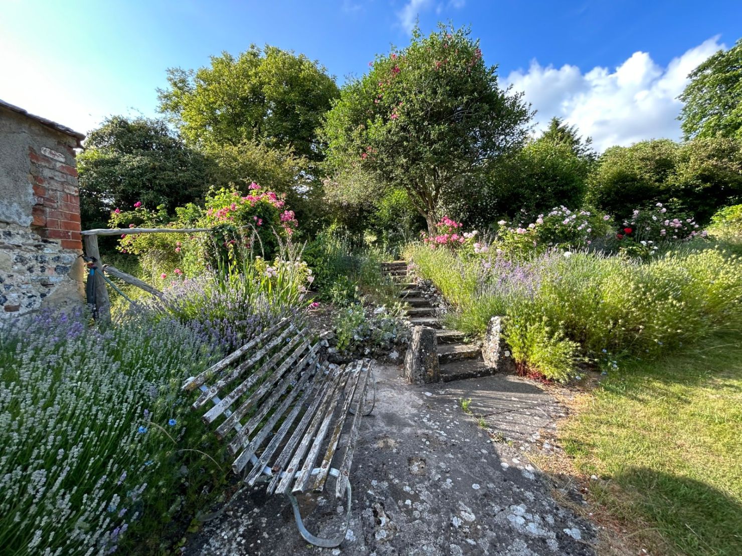 The Garden