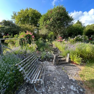 The Garden