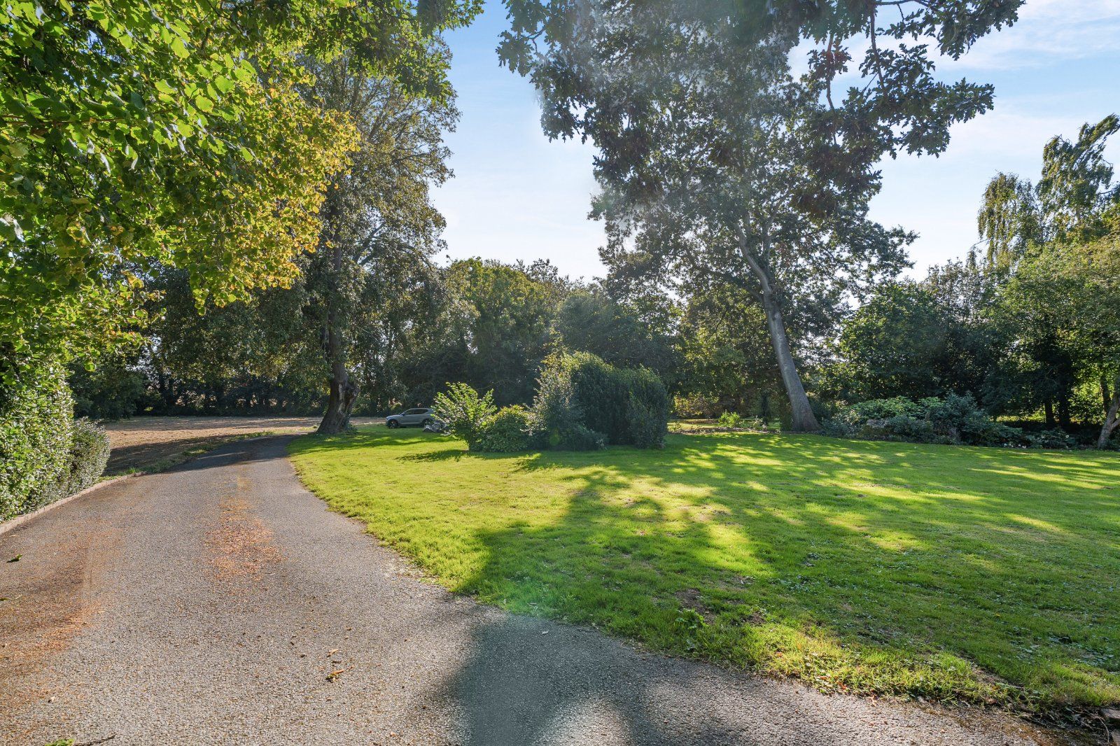 Driveway