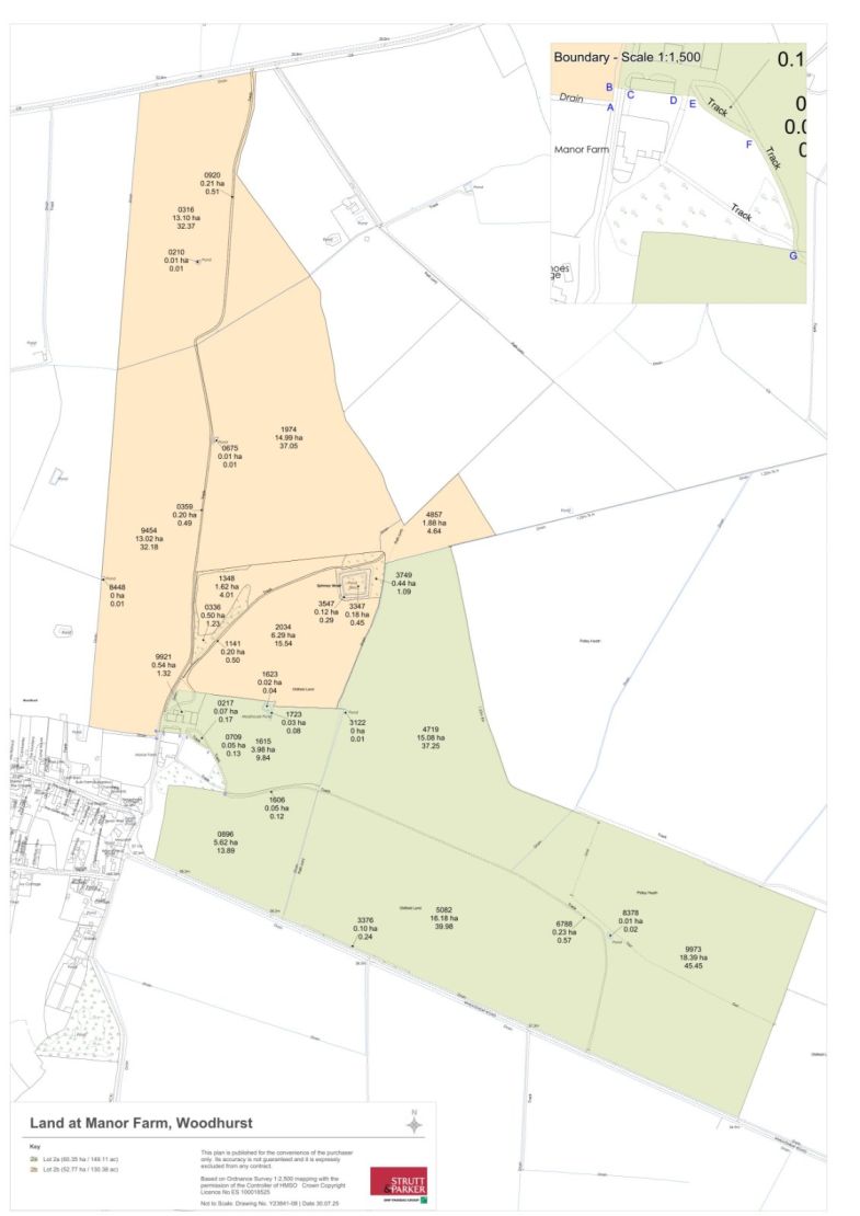 Lotting Plan