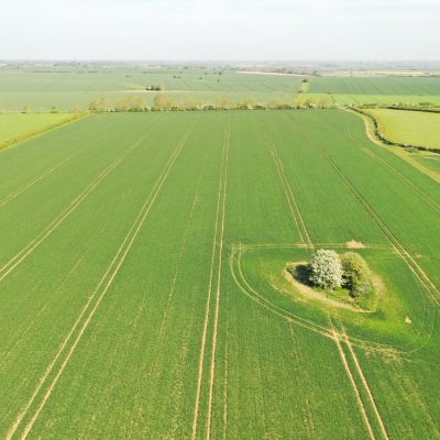 Lot 2b