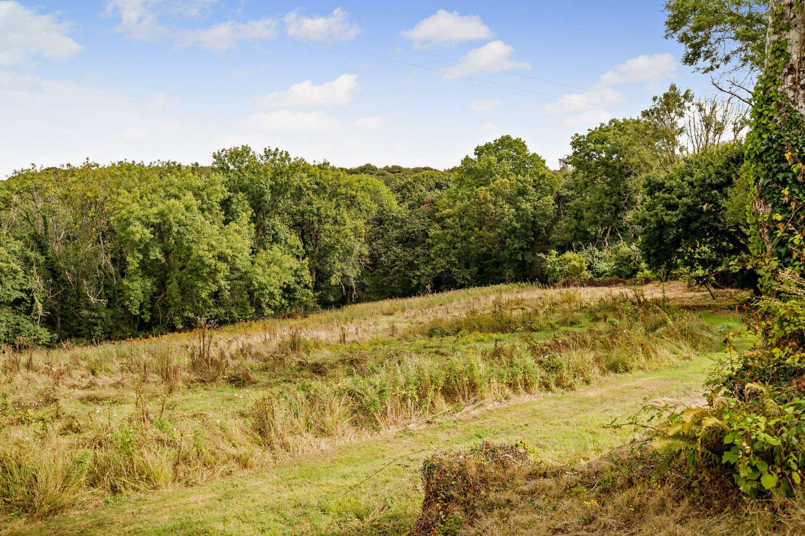 Grounds