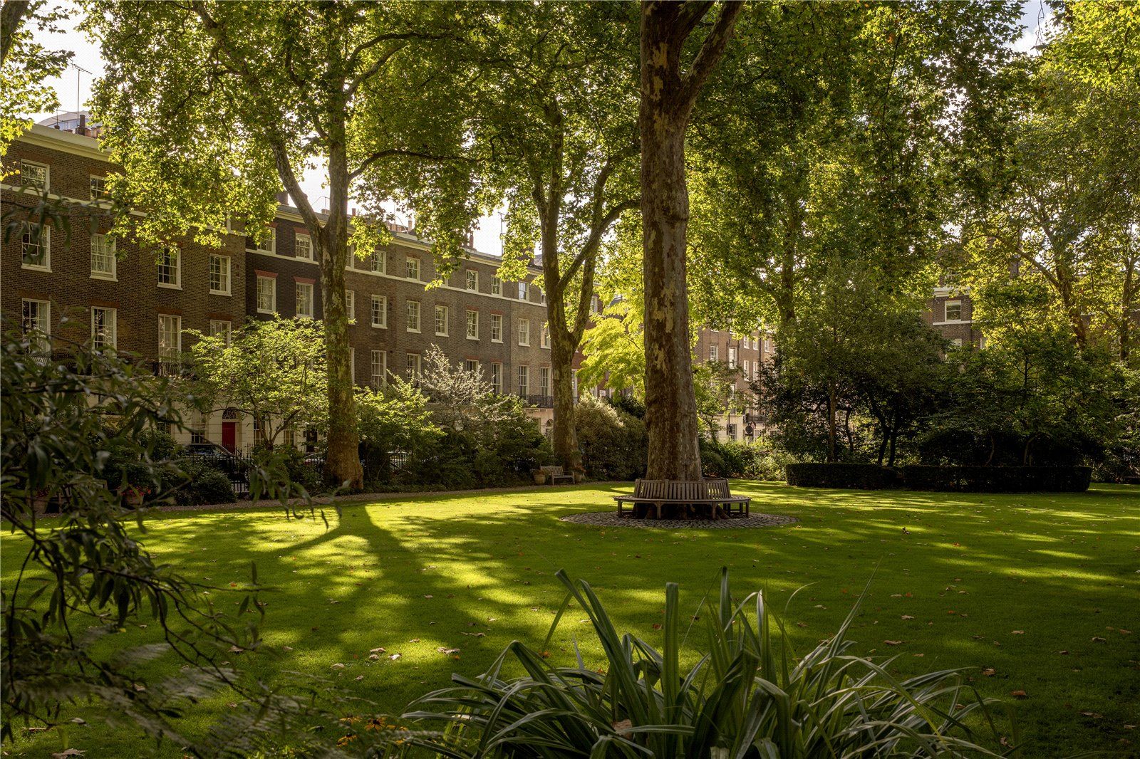 Communal Garden
