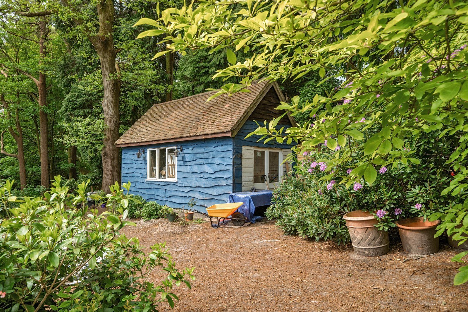 Picture No. 35
