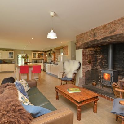 Kitchen/Living Area