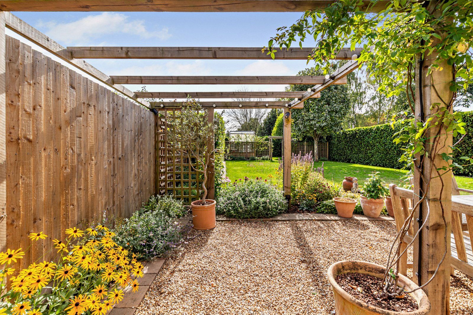 Garden