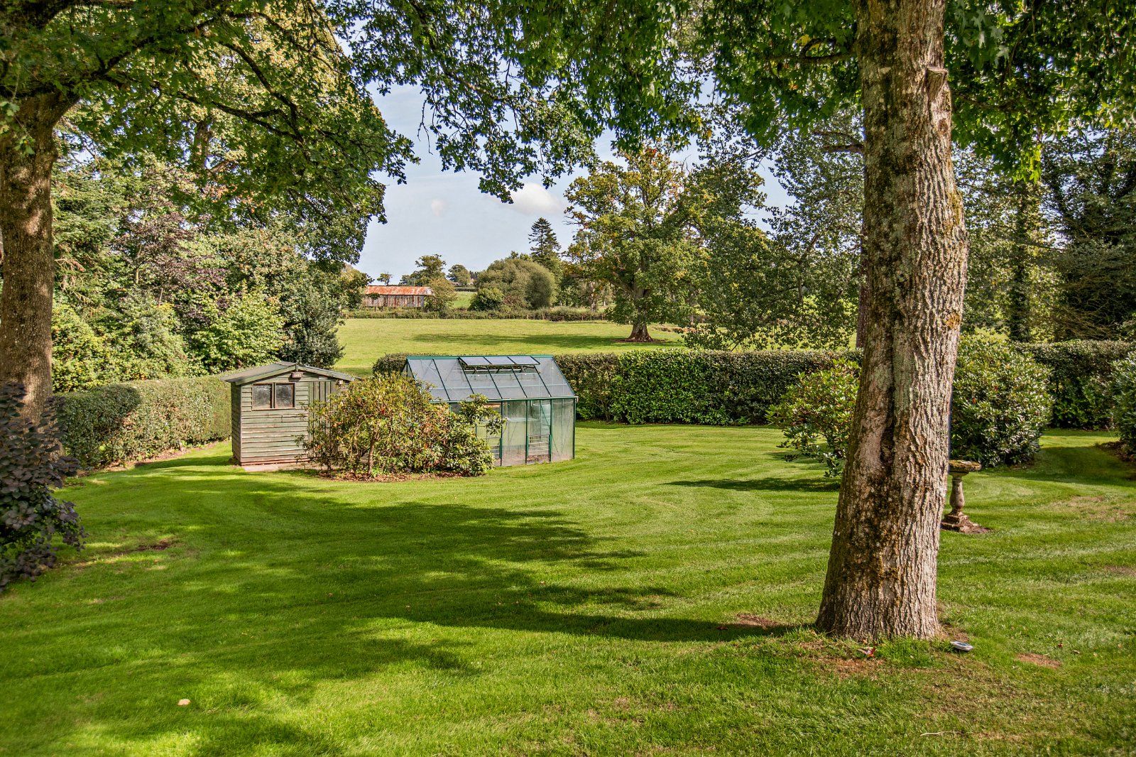 Garden