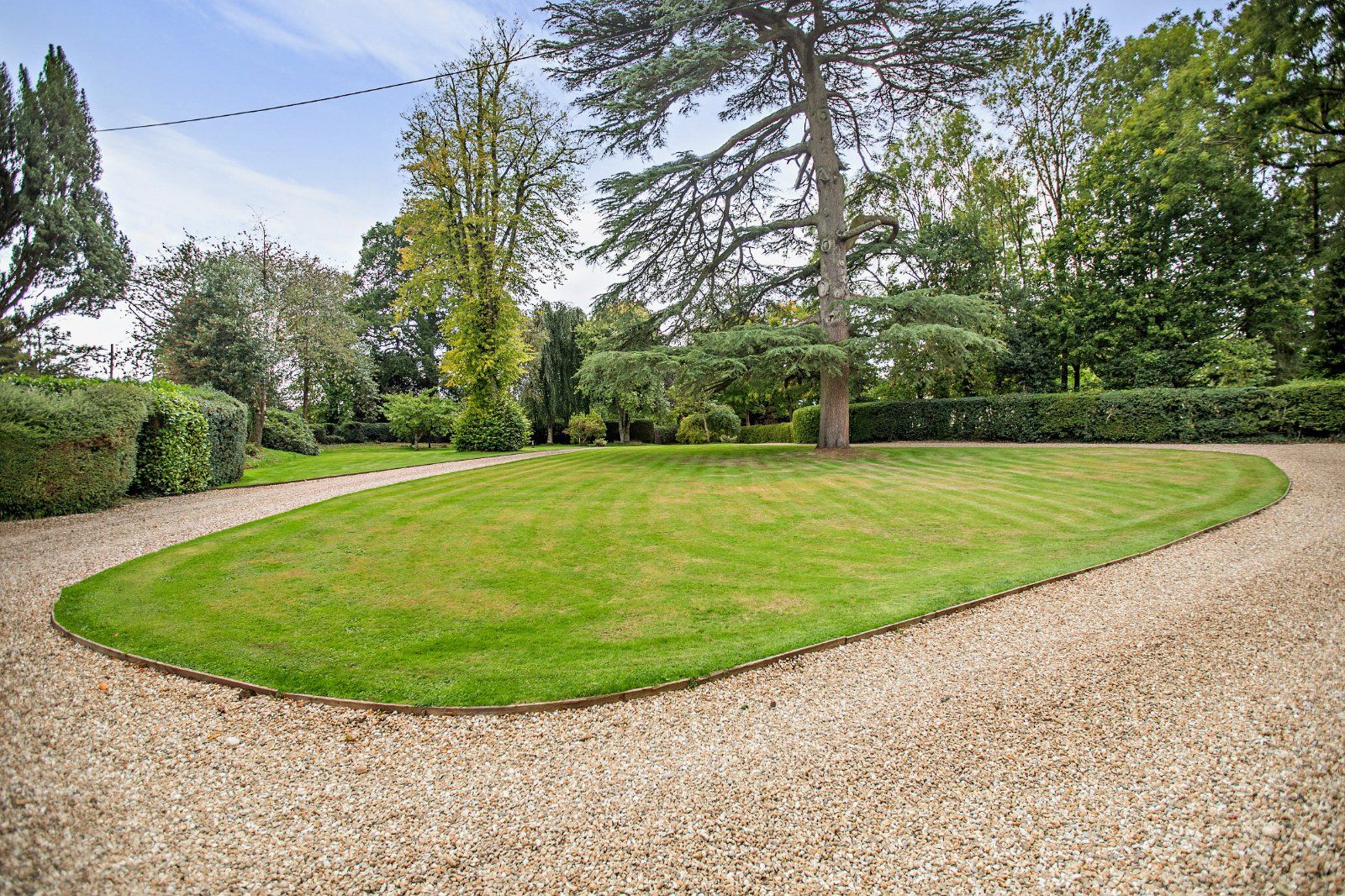 Grounds