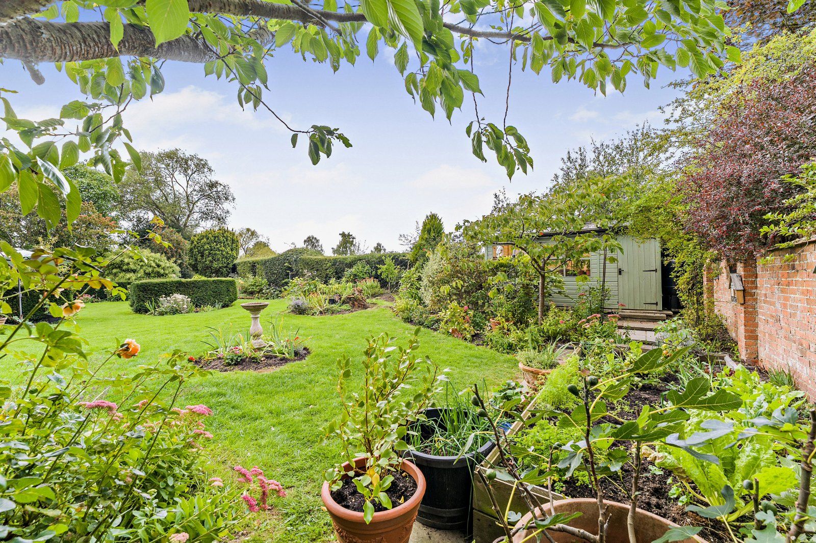 Garden