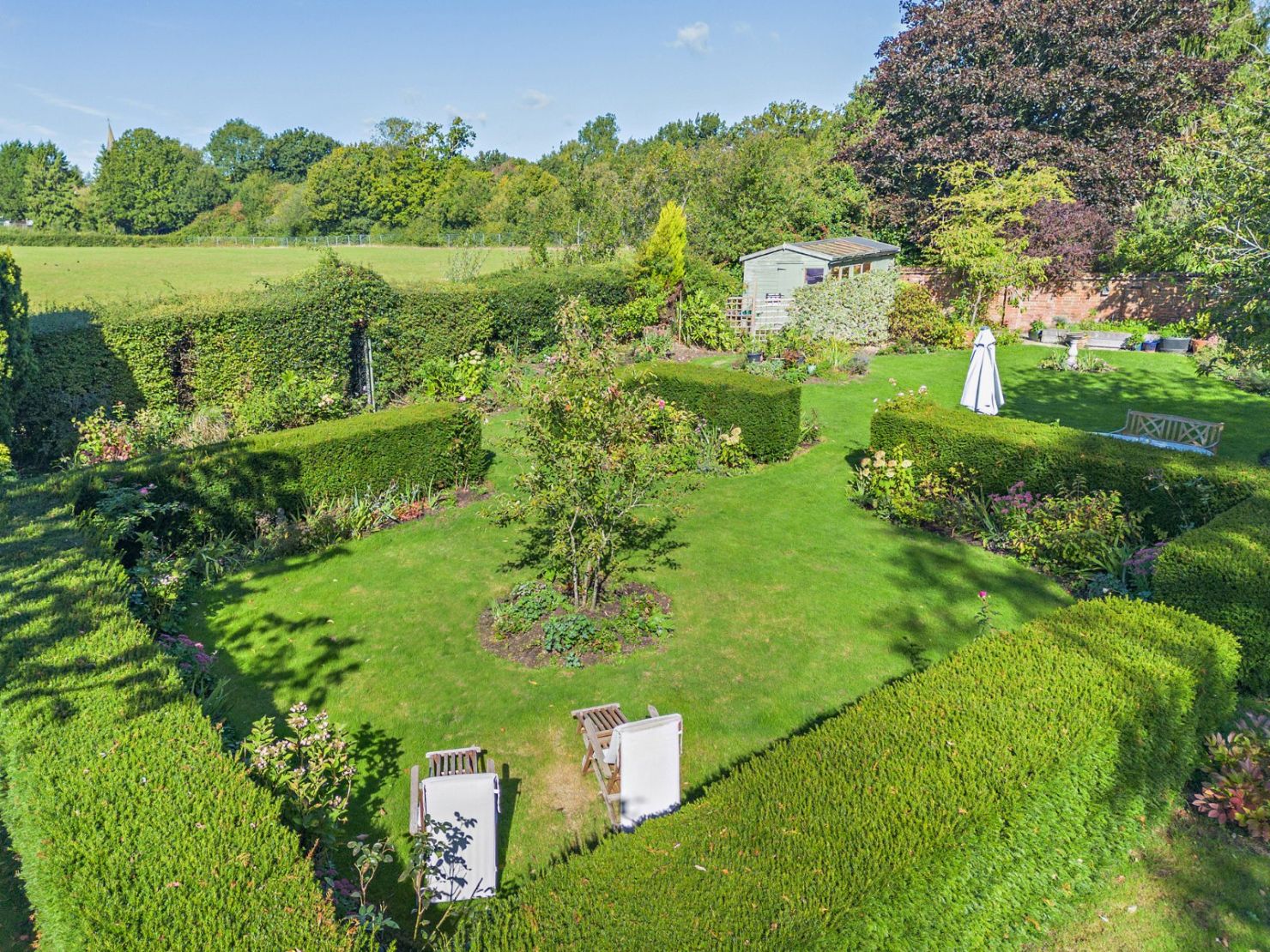 Garden