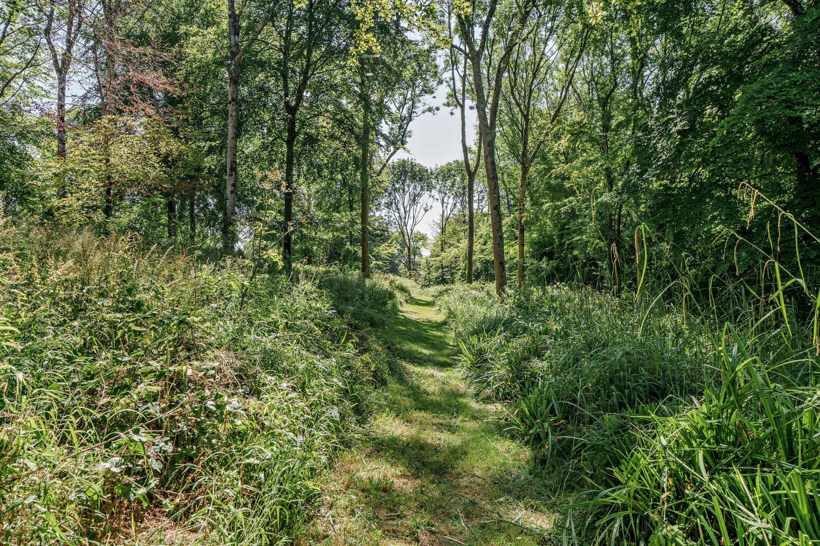 Woodland