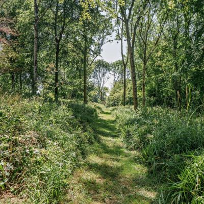 Woodland