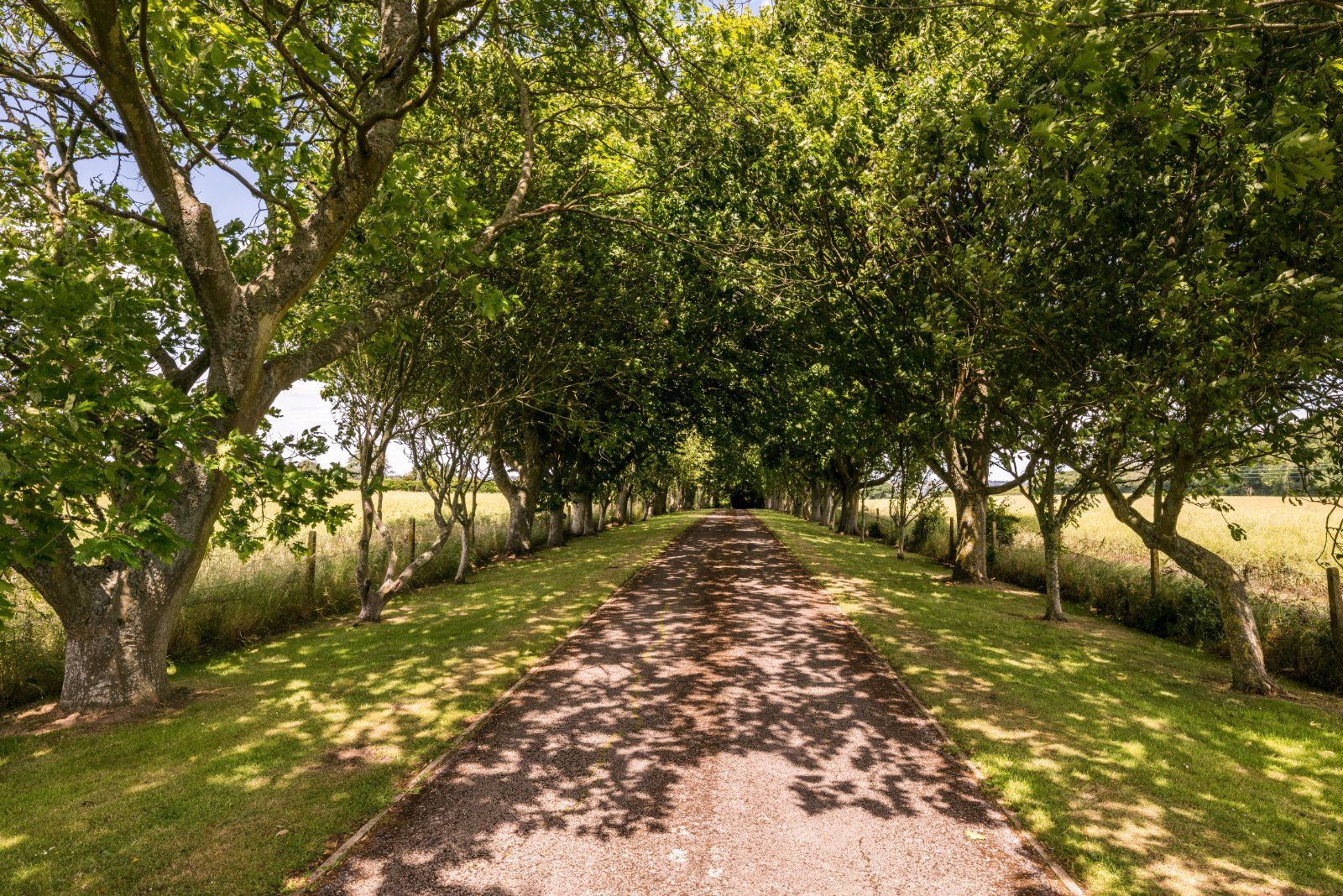 Driveway