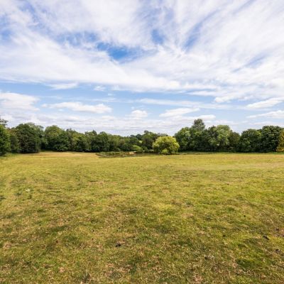 Grounds