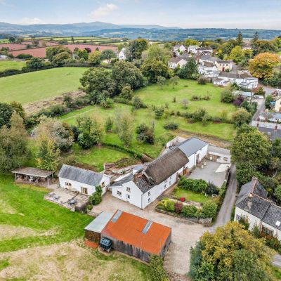 Town Living Farm