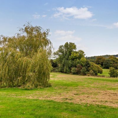 Grounds
