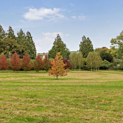 Grounds