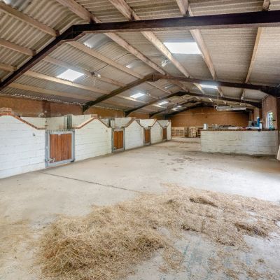 Stables