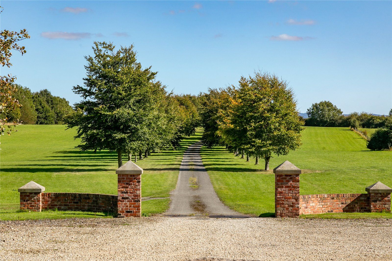 Tree Lined Driveway