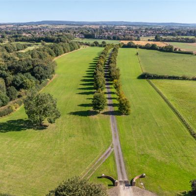 Tree Lined Driveway