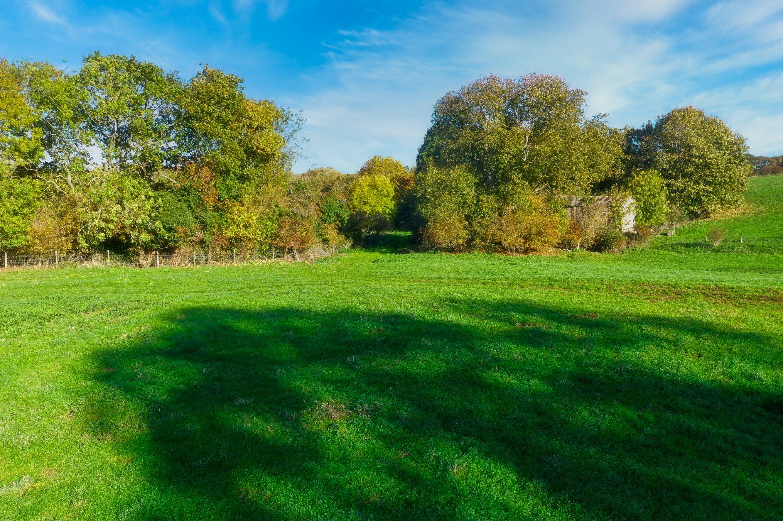 Paddocks Around Barn