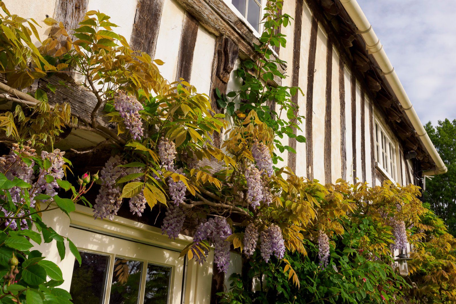 The Old Rectory