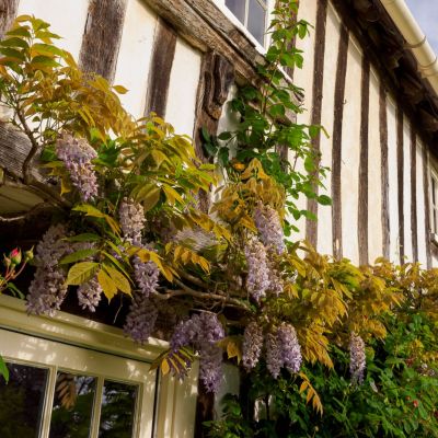 The Old Rectory
