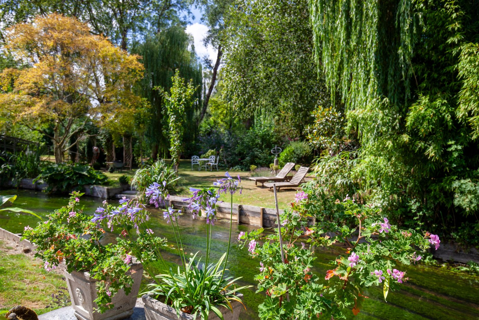 Garden