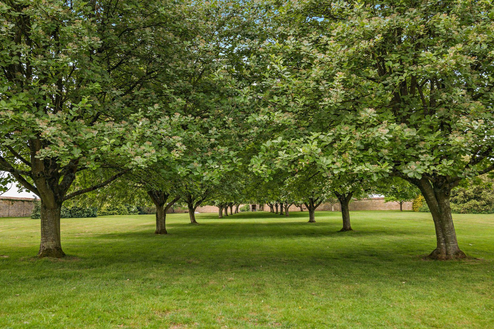 Grounds
