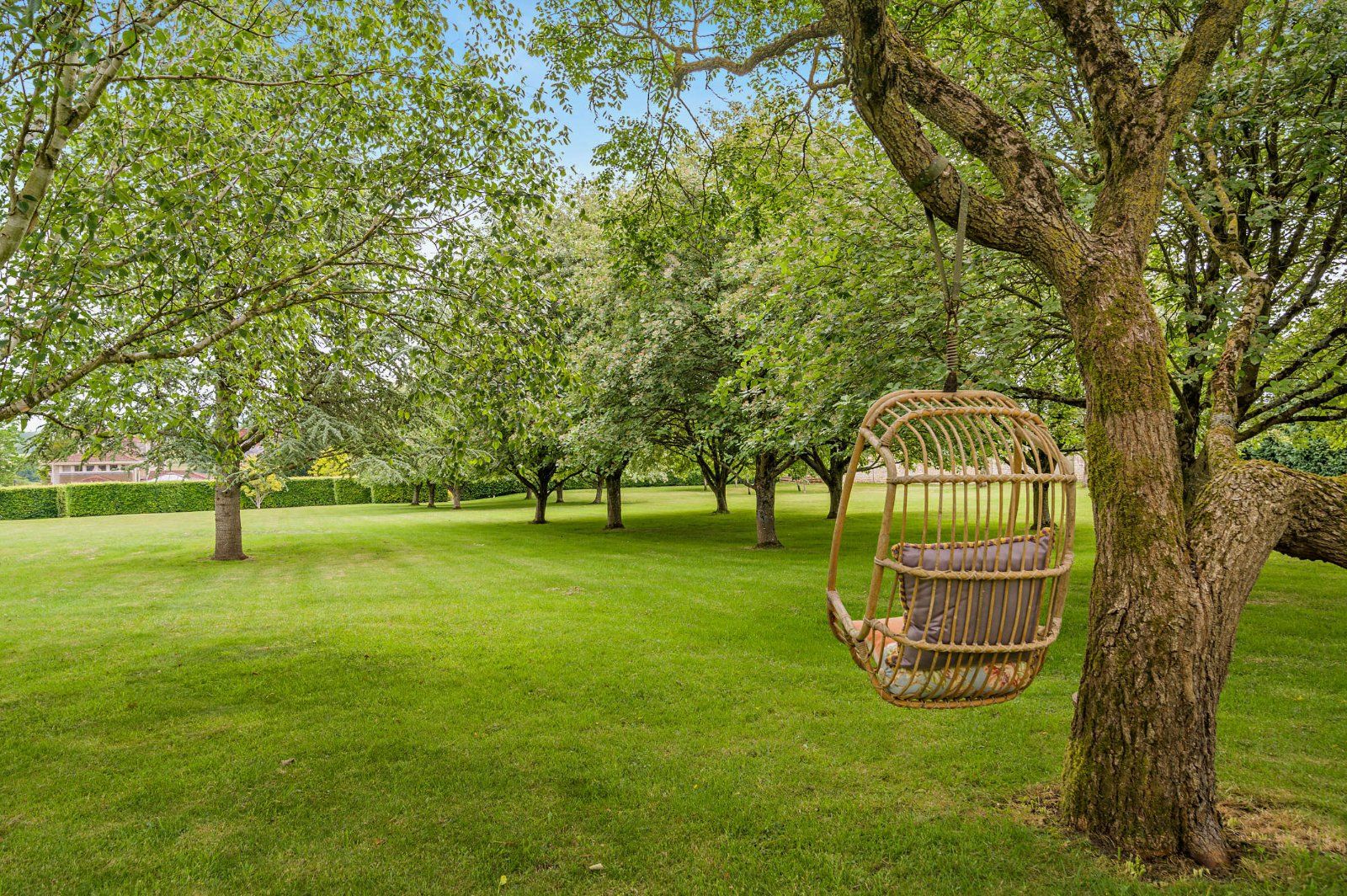 Orchard