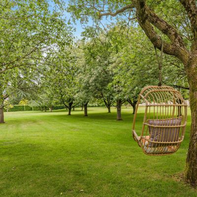 Orchard