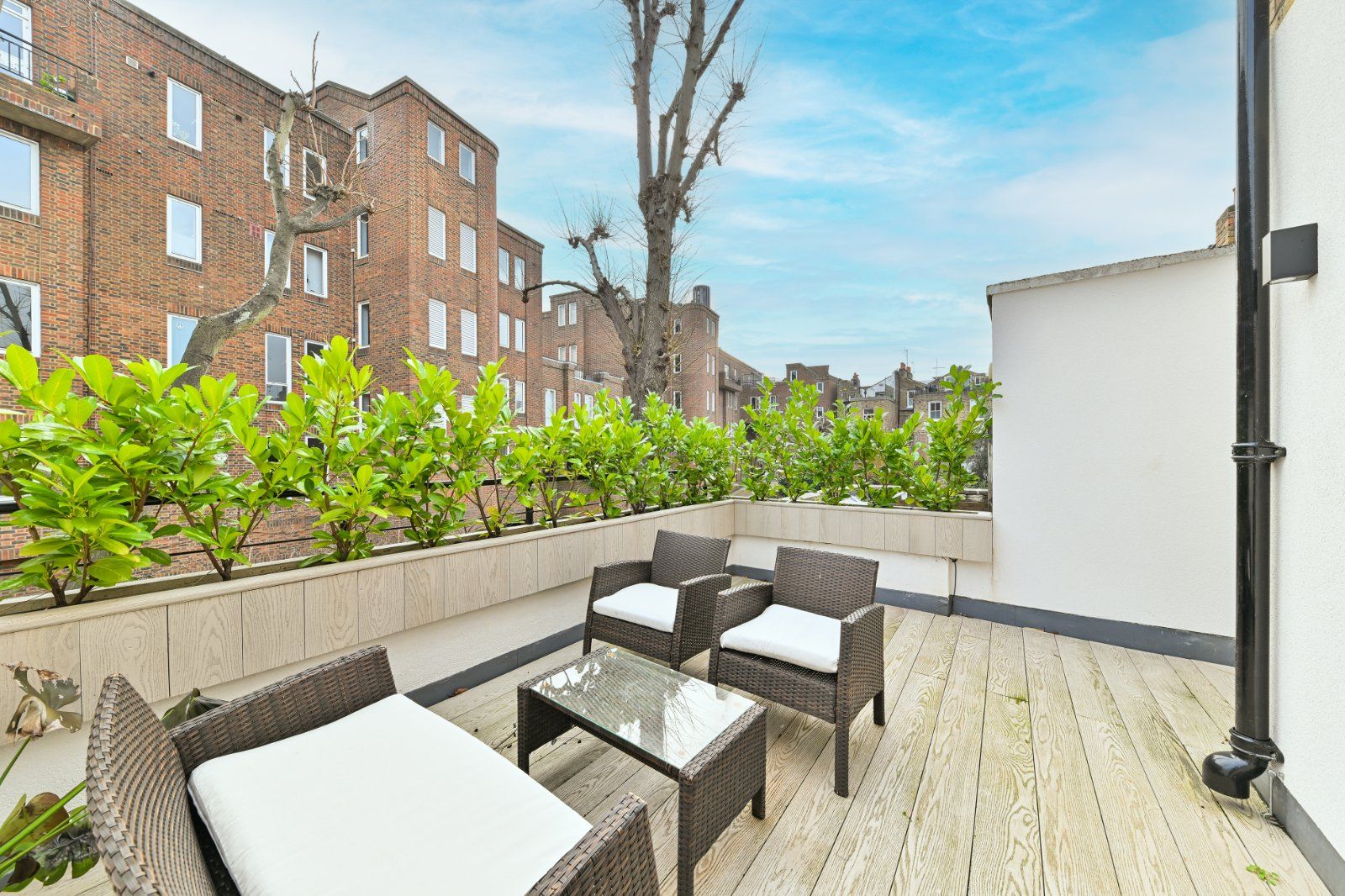 South Facing Terrace