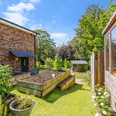 Vegetable Garden