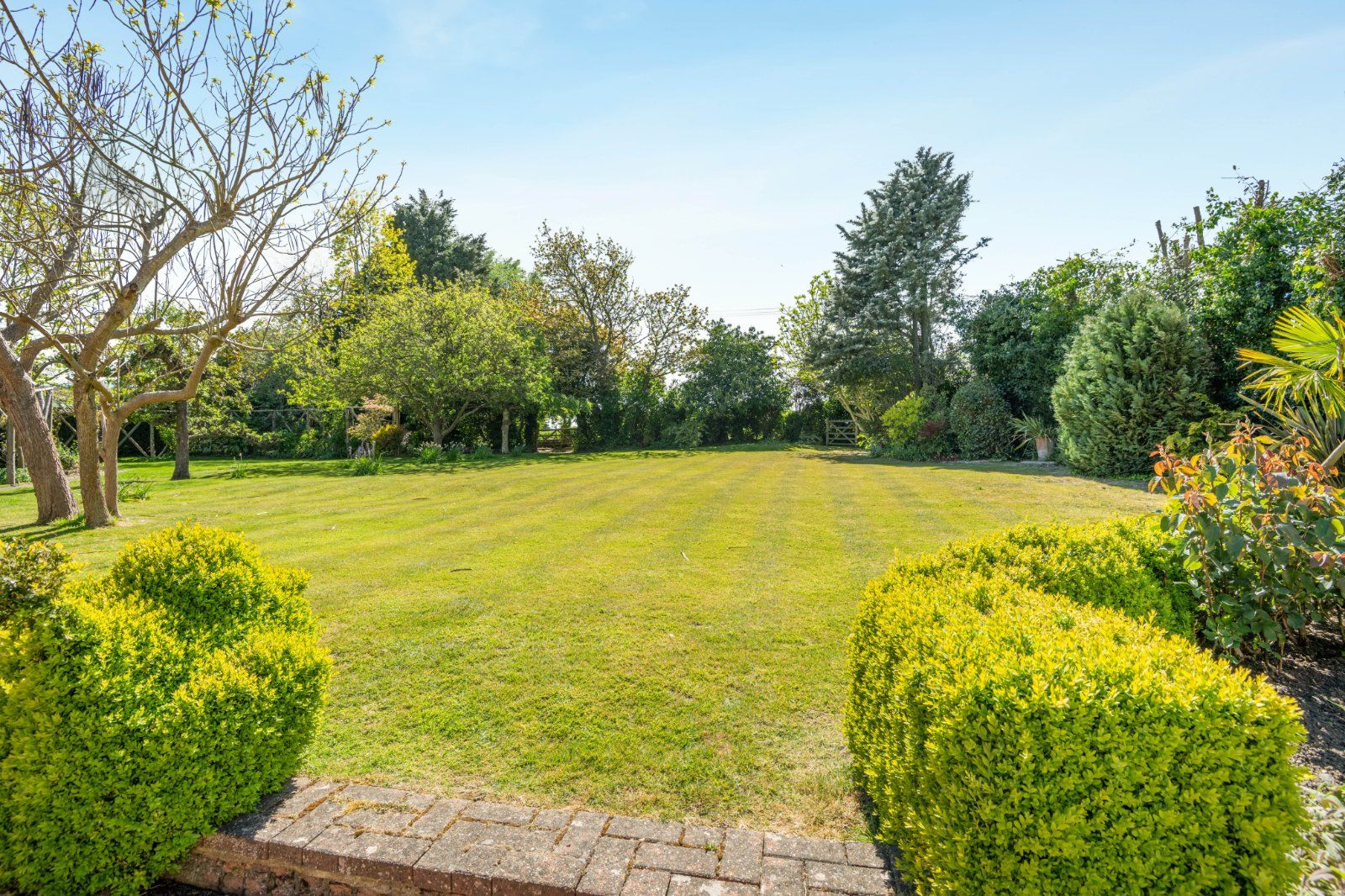 Grounds