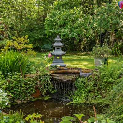 Ornamental Pond