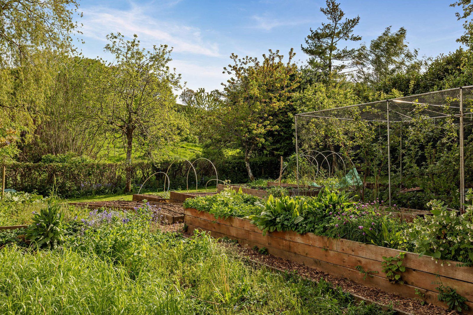 Grounds