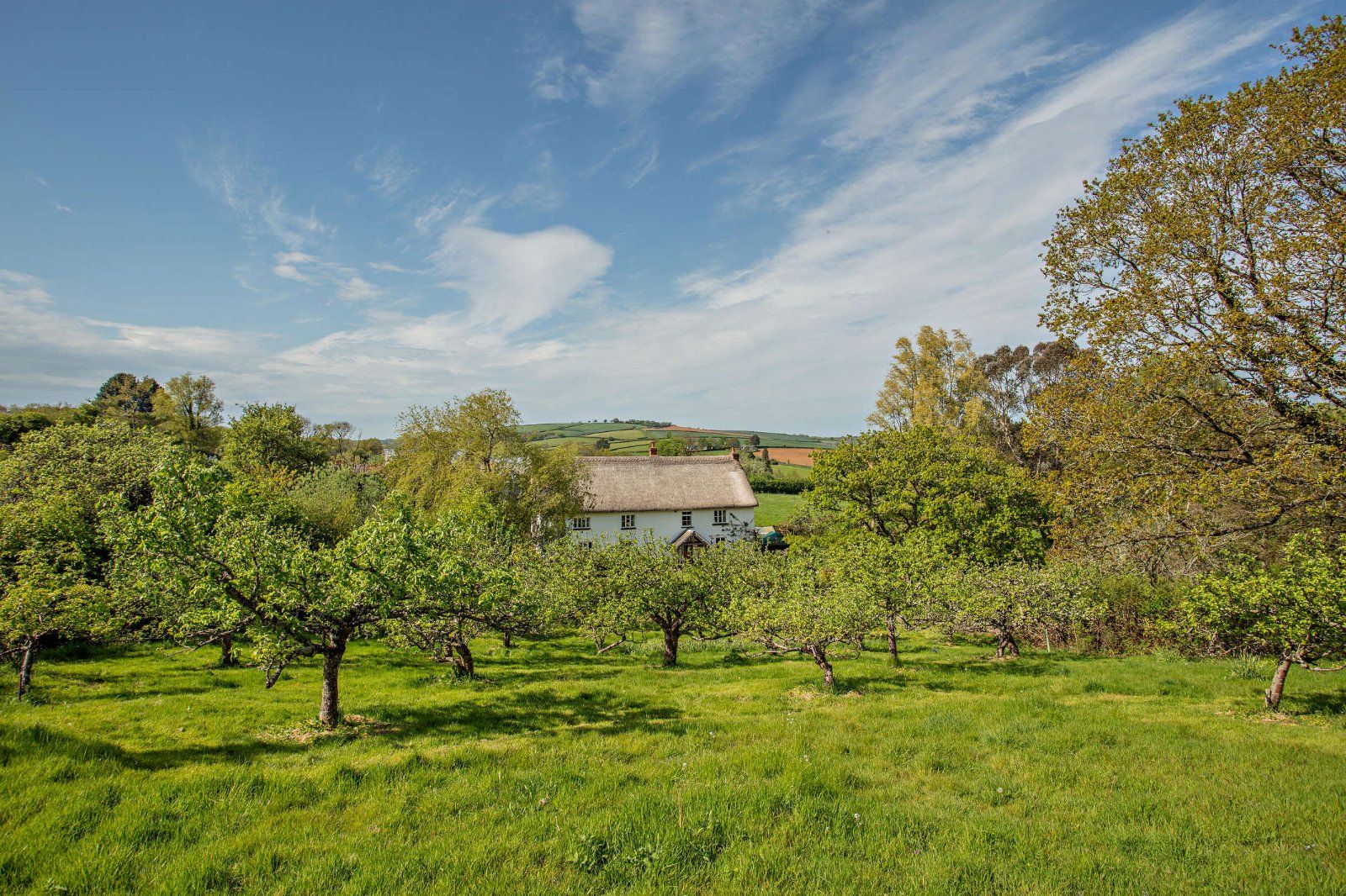 Grounds