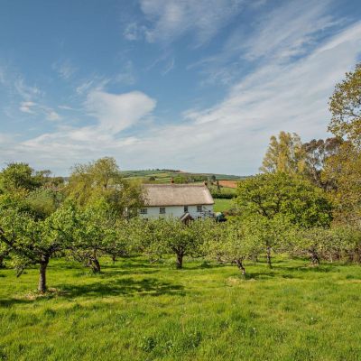 Grounds